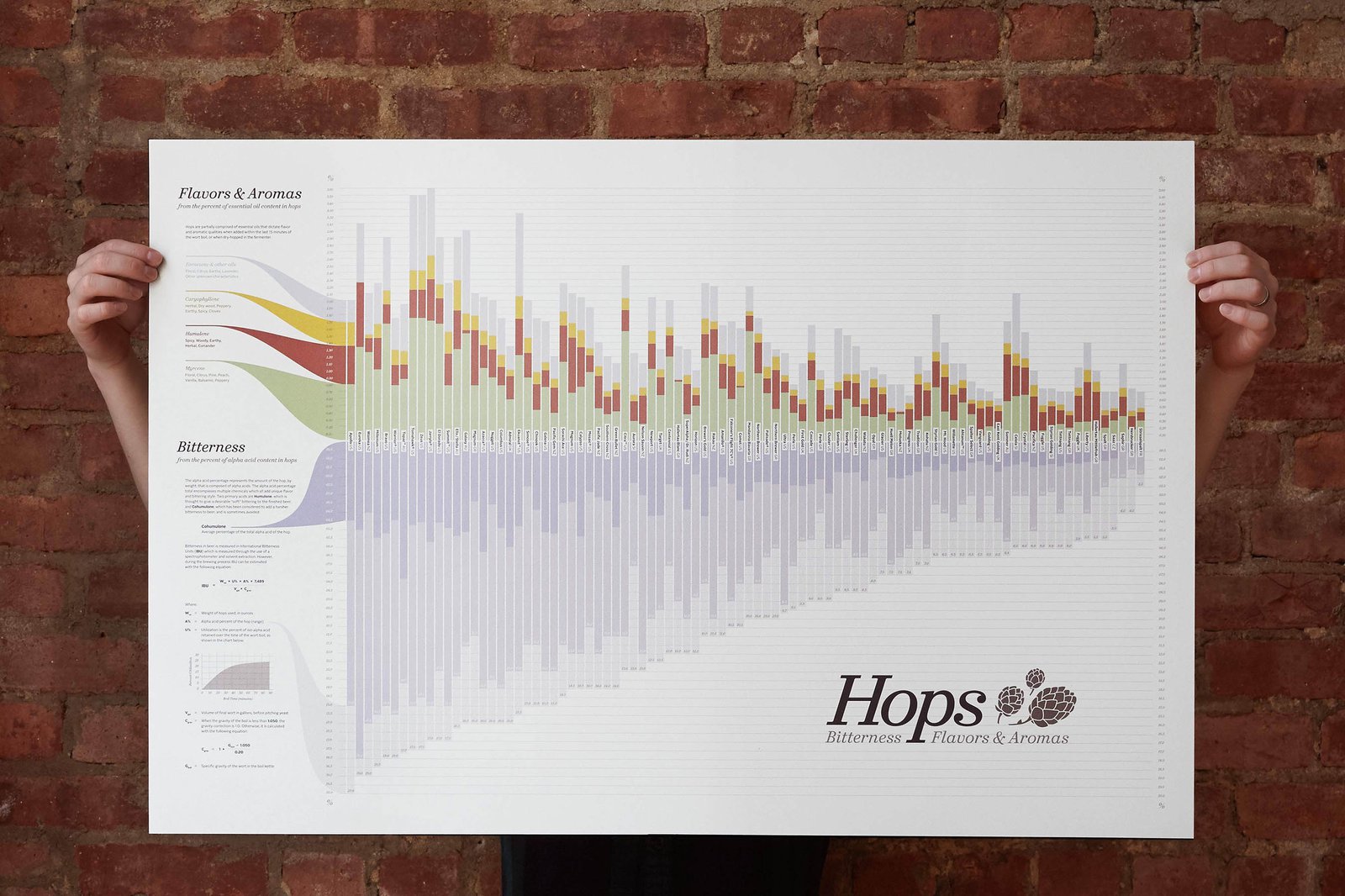 hops-chart-type-code